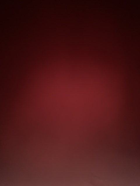 tildelou1 header picture leakfans.com