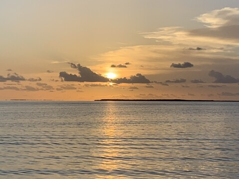 tim_1465 header picture leakfans.com