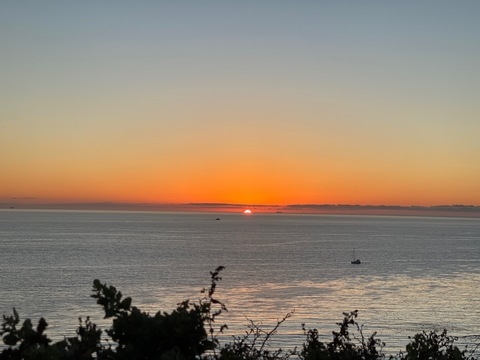 tina_diamond22 header picture leakfans.com