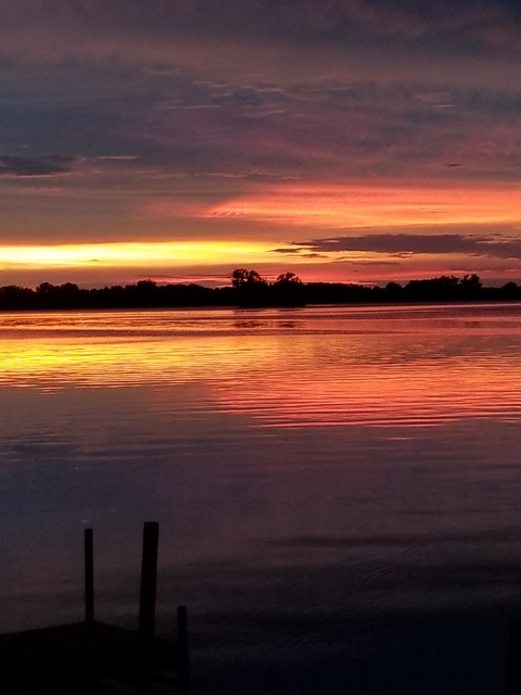 tinyhawk header picture leakfans.com