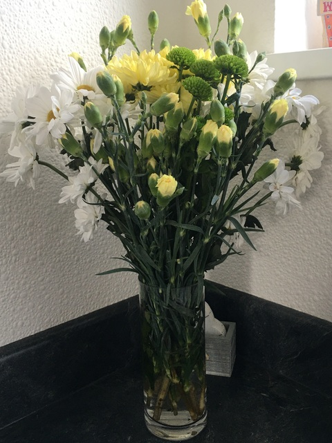 tinytina78 header picture leakfans.com