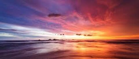 tinytitstraceypaid header picture leakfans.com