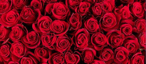 tishandwill header picture leakfans.com