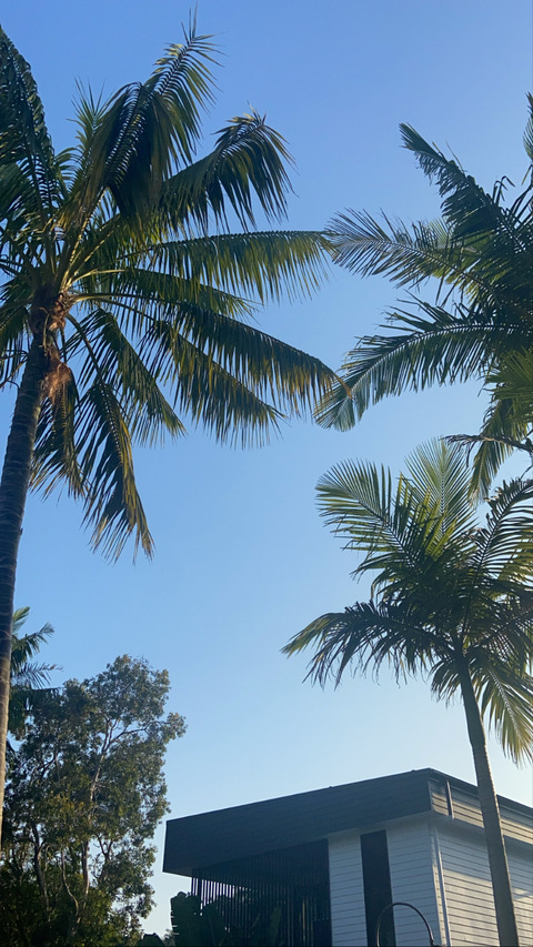 tjhendy header picture leakfans.com