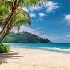 tlroq profile picture leakfans.com