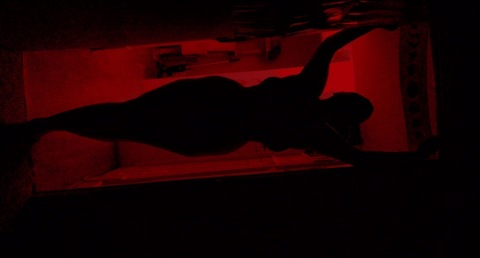 tmntiddy header picture leakfans.com