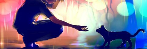 toastkitten header picture leakfans.com