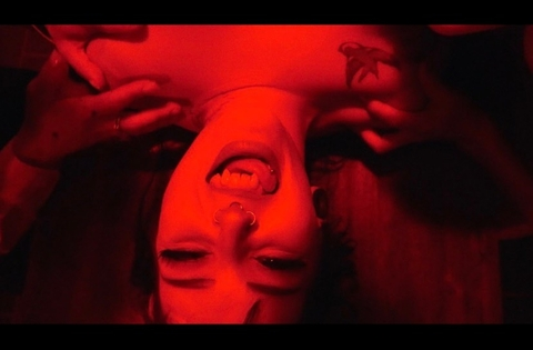 tofux_gaming header picture leakfans.com