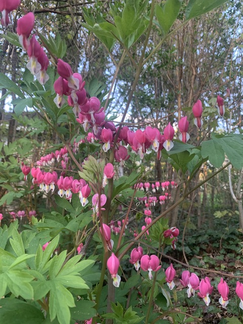 tokibeb8 header picture leakfans.com