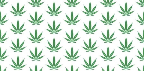 tokintina header picture leakfans.com