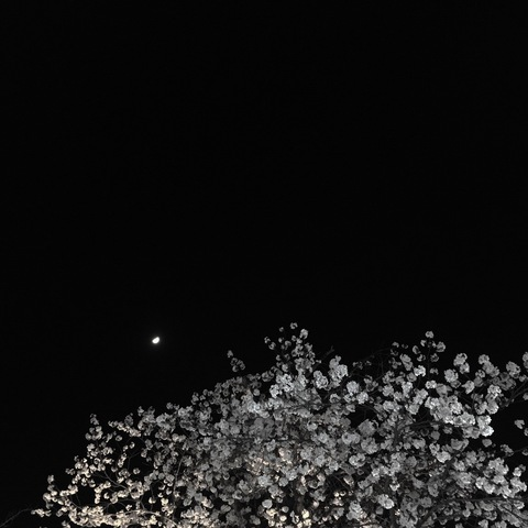 tokyoinn header picture leakfans.com