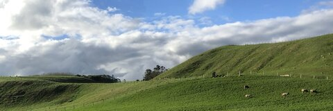 tonit header picture leakfans.com