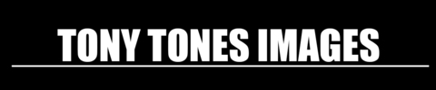 Header of tonytones