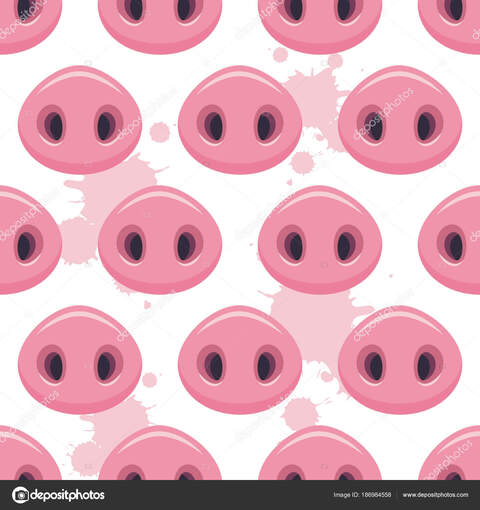 too.pigs header picture leakfans.com