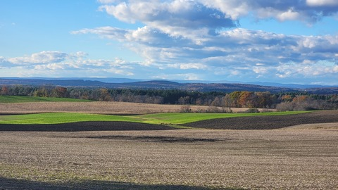 topdaddy4fun header picture leakfans.com