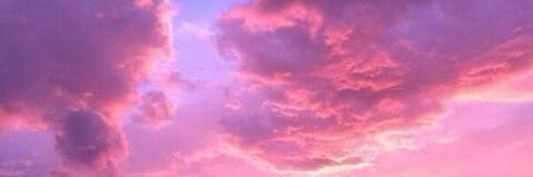 toribradbury1 header picture leakfans.com