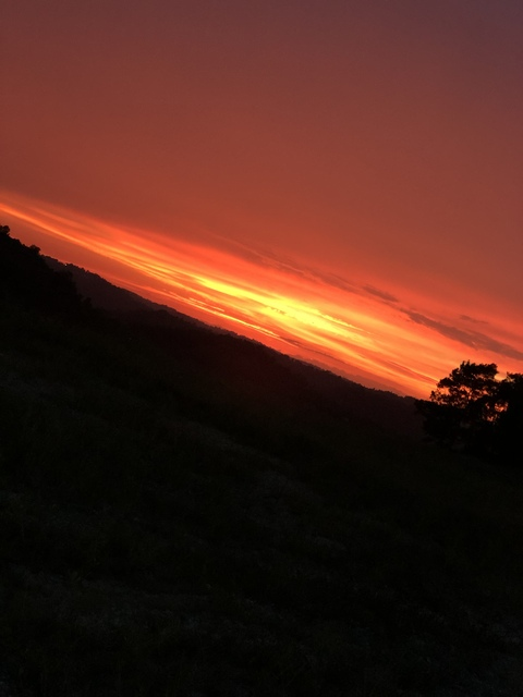 toturnttony header picture leakfans.com