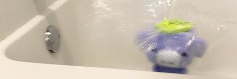 traagnet header picture leakfans.com