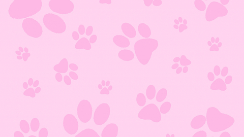 trapkittyfeet header picture leakfans.com