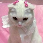 trash_bby profile picture leakfans.com