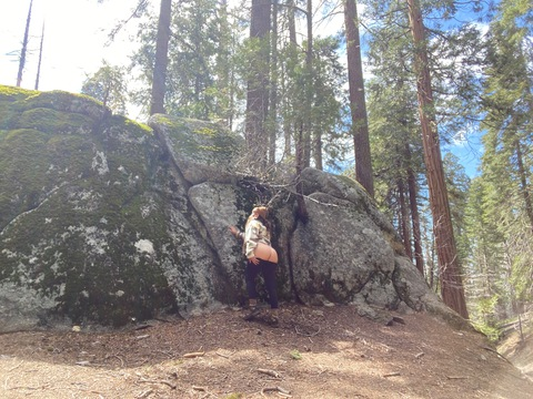 traveltitties header picture leakfans.com