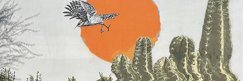 travis8x6 header picture leakfans.com