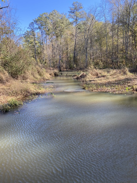 trendymatty header picture leakfans.com