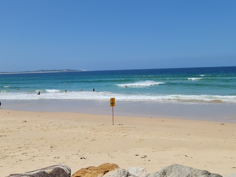 trex0575 header picture leakfans.com