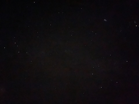 trippitori header picture leakfans.com