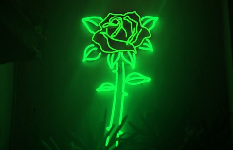 trippyyypineapple header picture leakfans.com