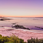 trophydoll profile picture leakfans.com