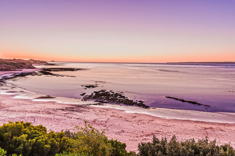 trophydoll header picture leakfans.com