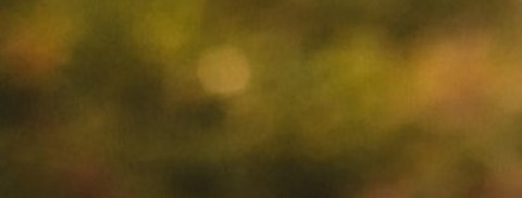 trulybb header picture leakfans.com