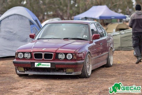 trunkphant header picture leakfans.com