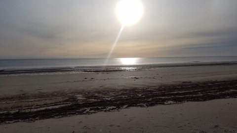 tstybbw header picture leakfans.com