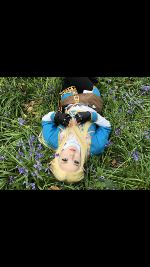 turtlelylois header picture leakfans.com