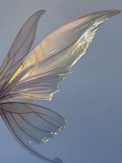 twinkattack header picture leakfans.com