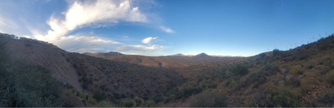 twistedjade header picture leakfans.com