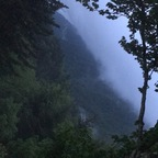 twylerbigd profile picture leakfans.com