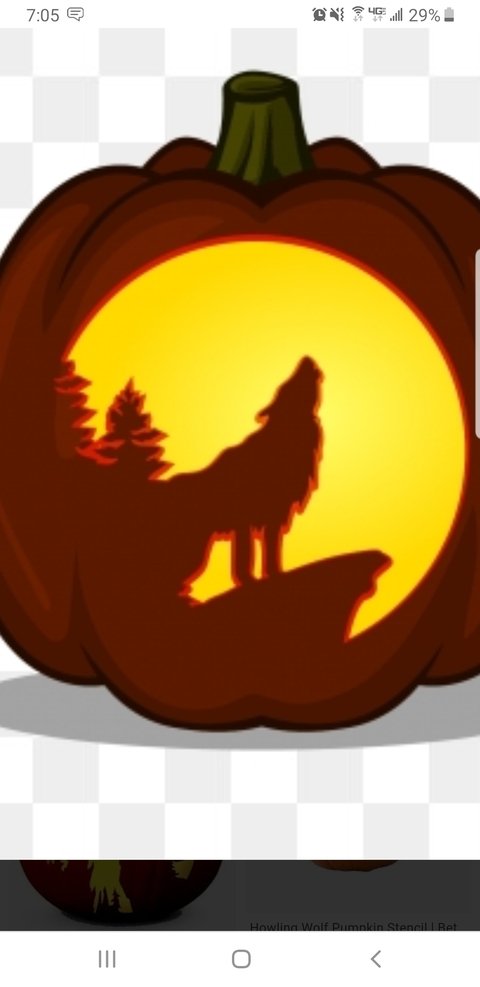 tylerg317 header picture leakfans.com