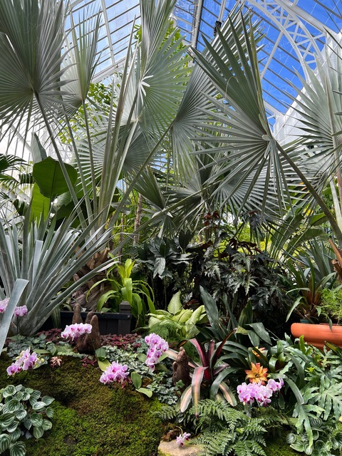 tylerjaxsonsc header picture leakfans.com