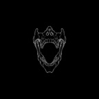 tylersteven94 profile picture leakfans.com