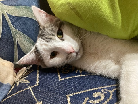 u103875870 header picture leakfans.com