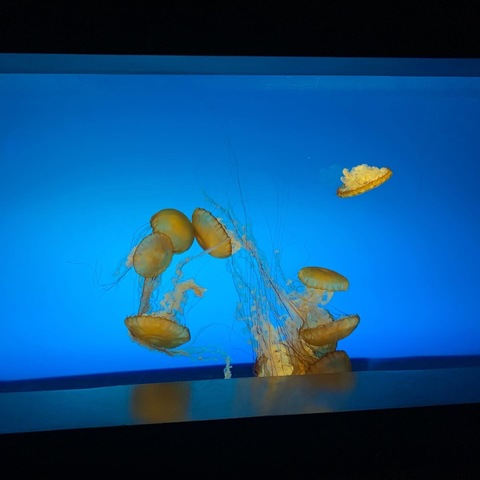 u109441647 header picture leakfans.com