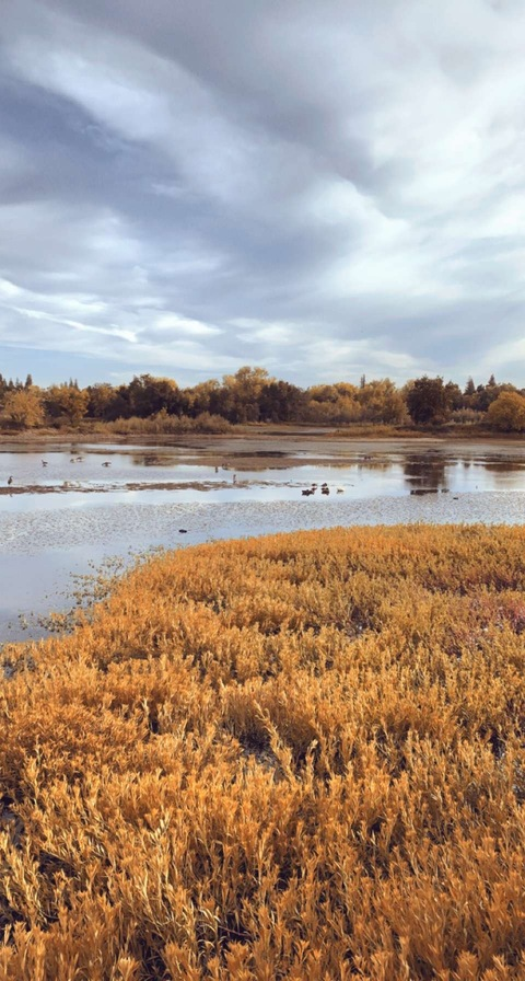 u120124546 header picture leakfans.com