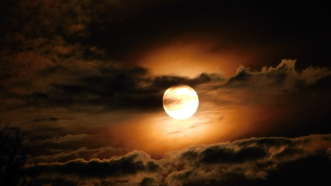 u122191496 header picture leakfans.com