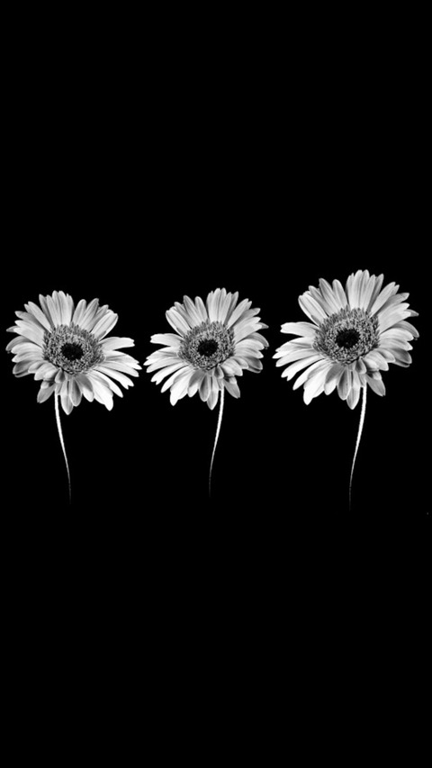 u123239795 header picture leakfans.com