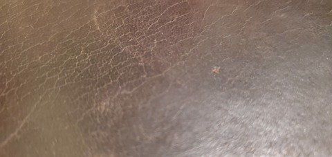 u12695391 header picture leakfans.com