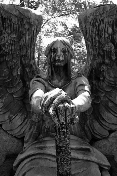 u13197347 header picture leakfans.com