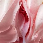 u132761187 profile picture leakfans.com